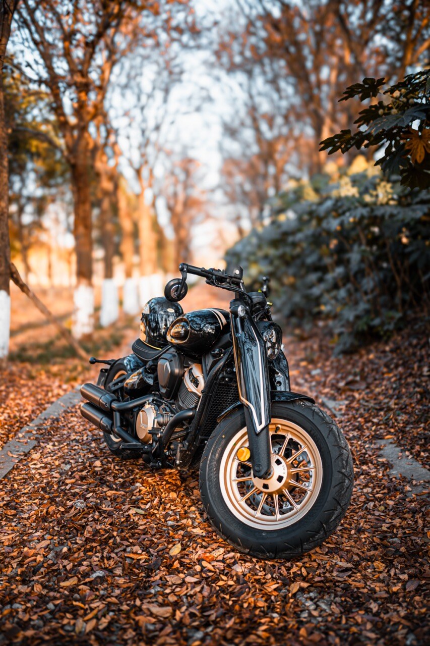 Benda Napoleon 500 Bobber, Phân Phối Chính Hãng, Giá Rẻ Tại Dak Lak
