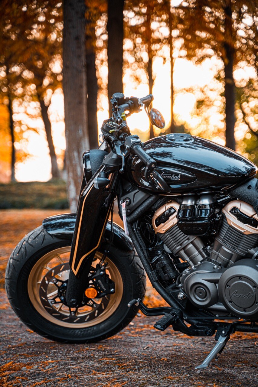 Benda Napoleon 500 Bobber, Phân Phối Chính Hãng, Giá Rẻ Tại Dak Lak