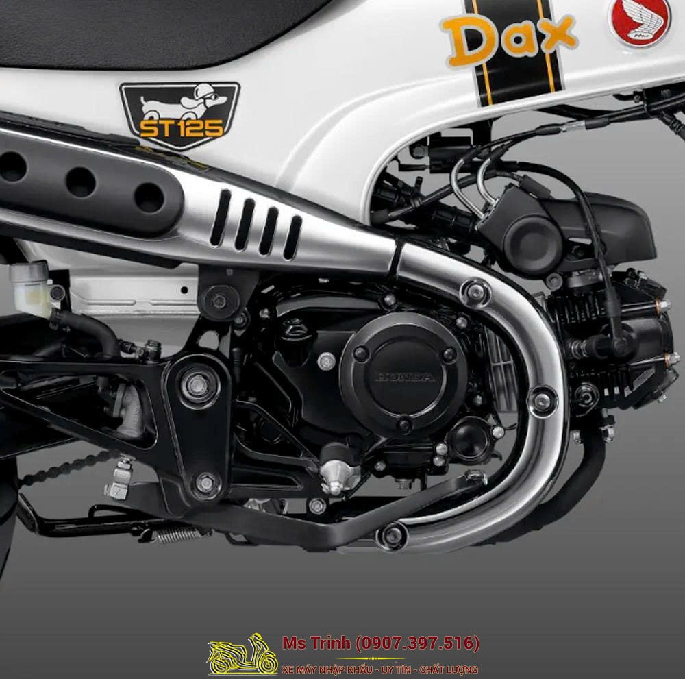 Honda Dax ST125 2026 tại Dak Lak - Minibike huyền thoại khung T-Bone đầy cá tính